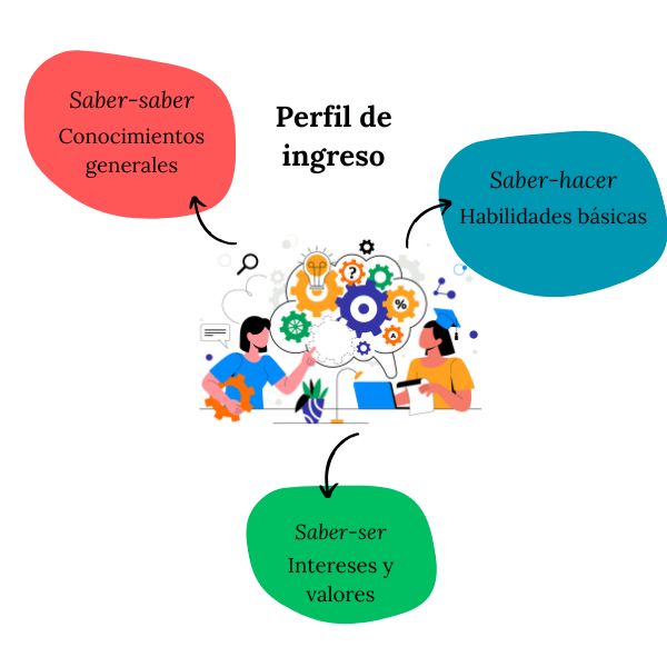 perfil ingreso